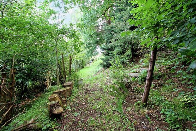 Woodland and gardens