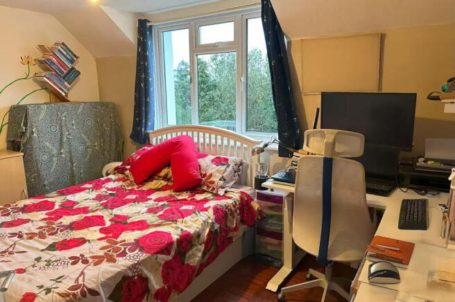Photo 12