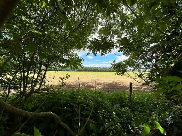 2  Medium  T202506121519.jpeg