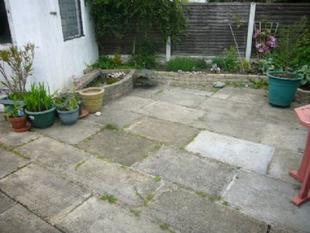 Garden 2