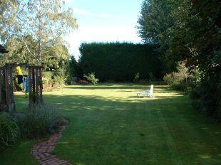 Garden 1