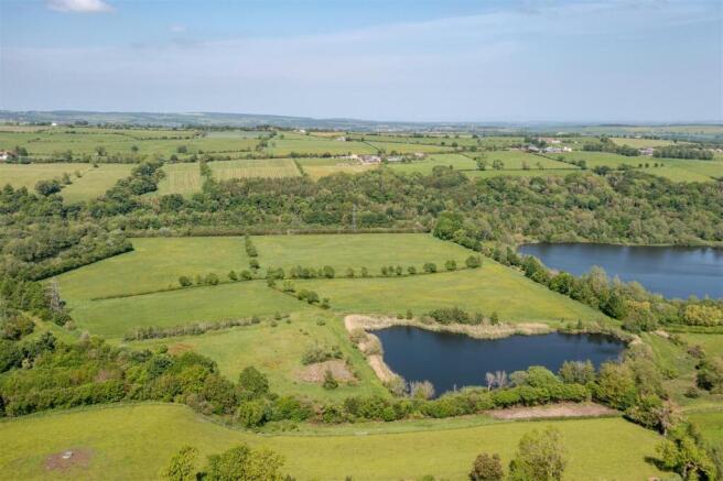 Escomb Nature Reserve