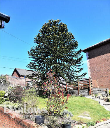 Photo 31