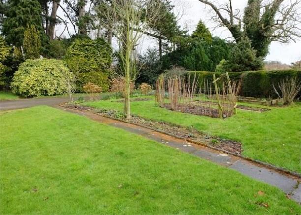 Vegetable garden
