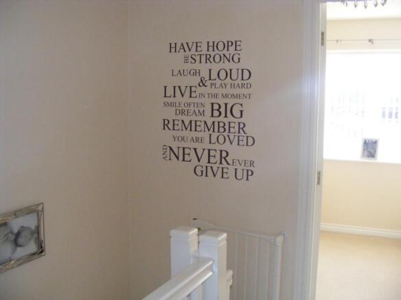 Picture No.07
