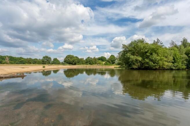 Mitcham Common