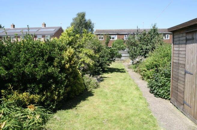 Garden Shot 2