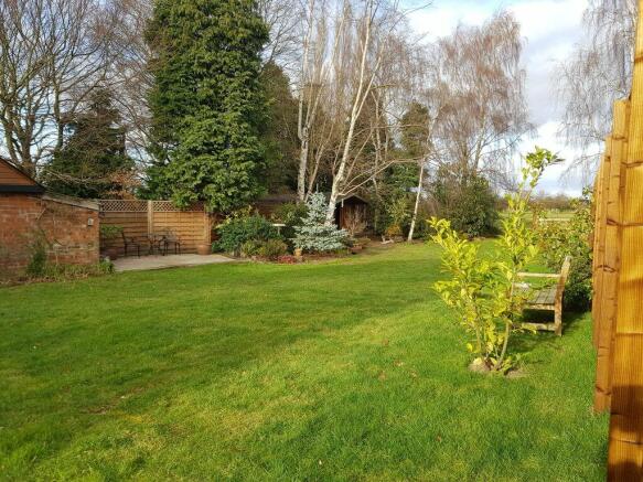 Garden at Back