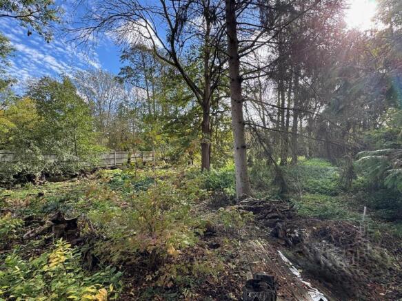 WOODLAND:
