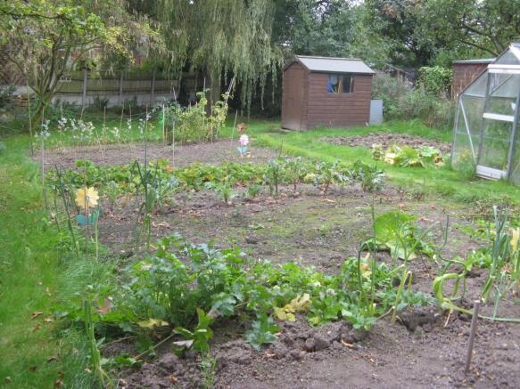 Vegetable Plot