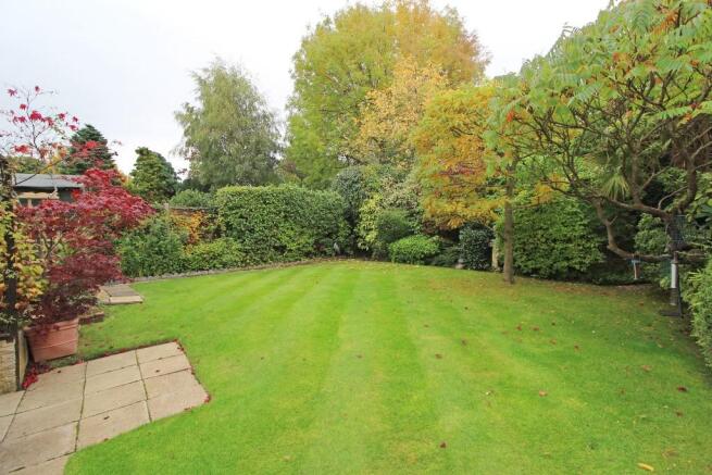 Beautiful Garden
