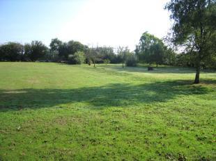 View over land