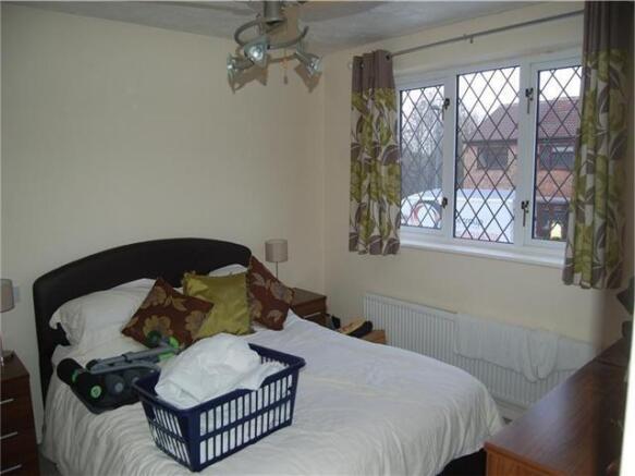 Picture 8