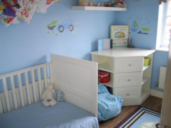 11 waterlily close-b