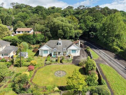 Teignmouth Road, Torquay, TQ1
