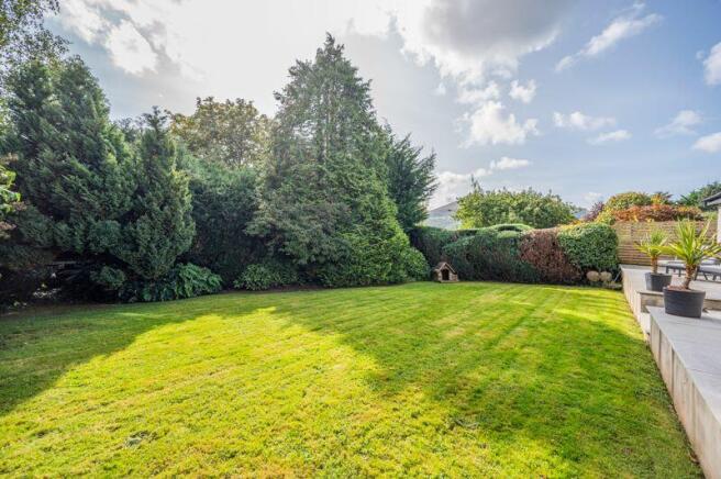 Back Garden