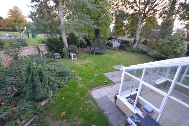 Photo 15