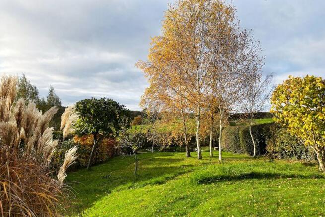 Rear Gardens