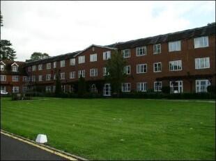 Rear Lawn