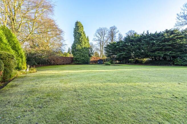 Lawn