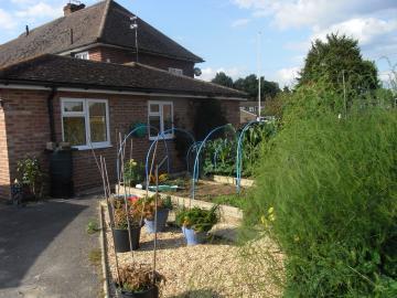 Photo 11