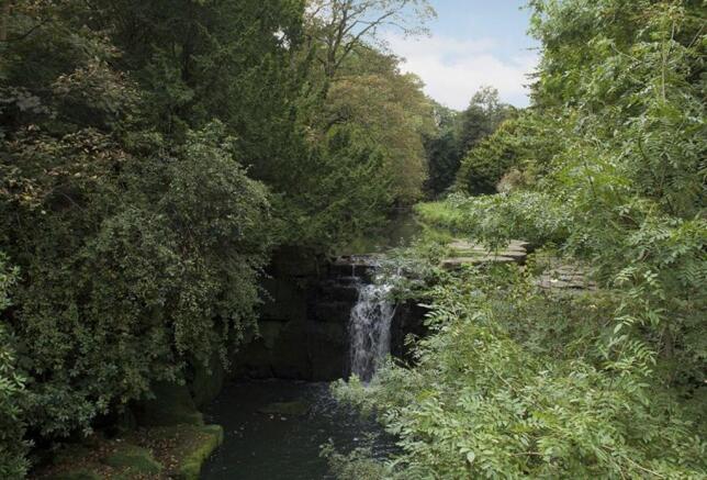 Jesmond Dene