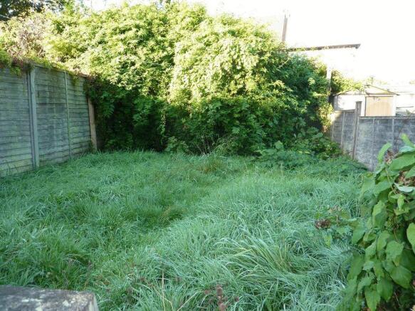 Garden Shot 2