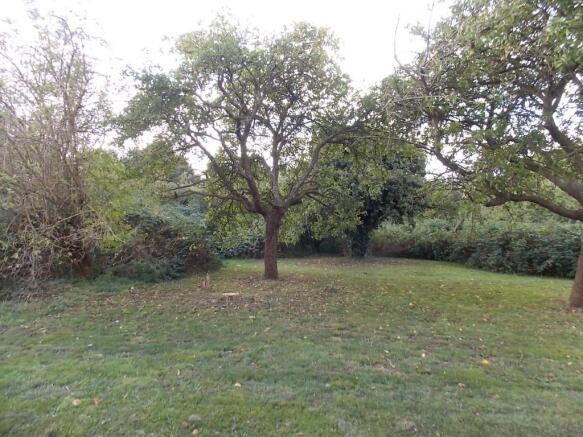 The Orchard