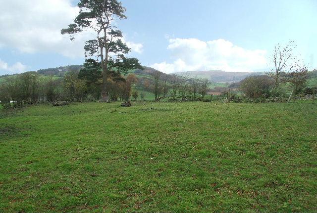 The Land