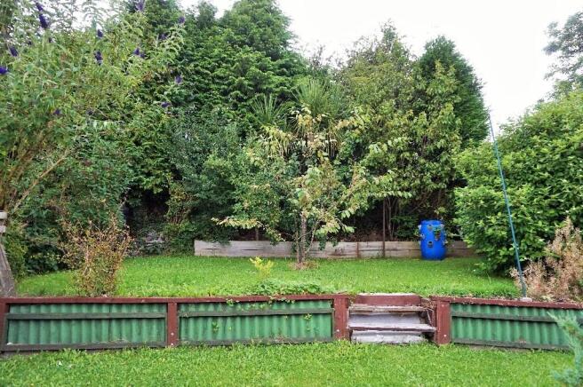 Mature Garden