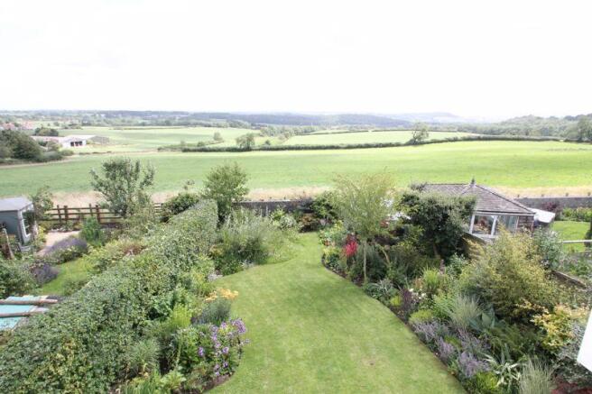 Garden and views