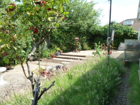 Back Garden
