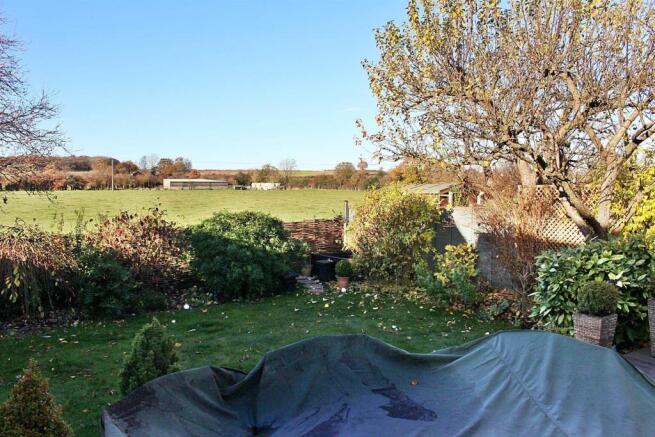 Garden 2.JPG