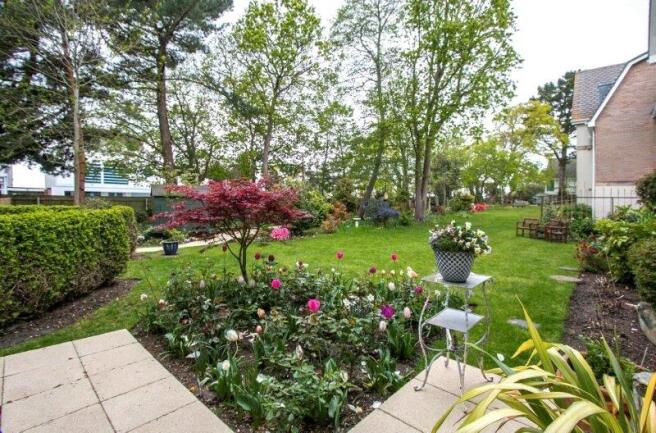 Communal Garden