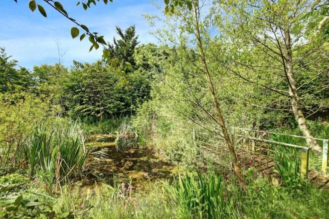 Pond