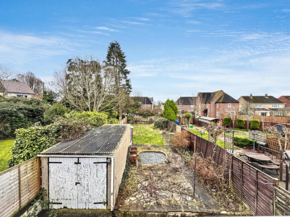 IMG 8851 T202603031552.jpg