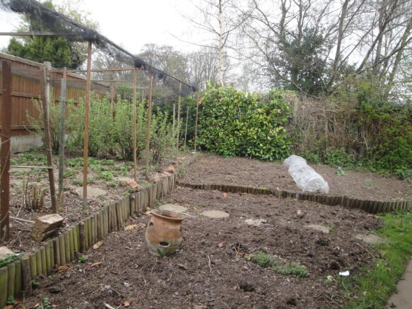 vegetable garden