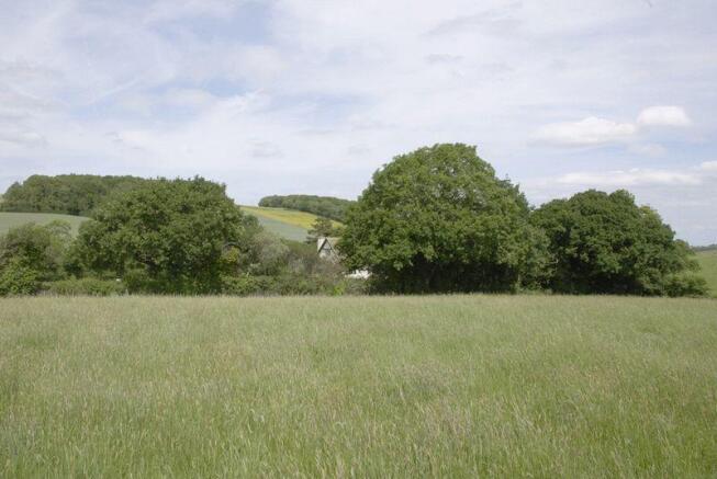 Pasture at rear
