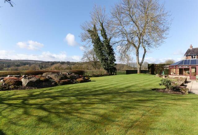 Garden 3.jpg