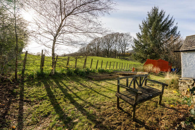 Garden  and View