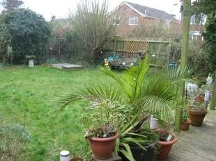 Garden 1