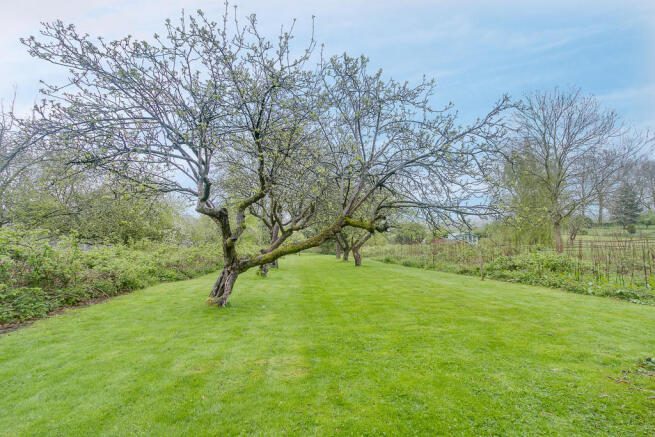 Garden - Aspect 4