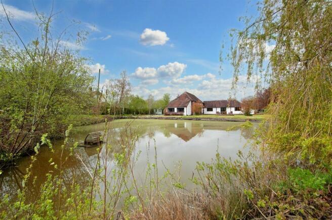 Pond.jpg