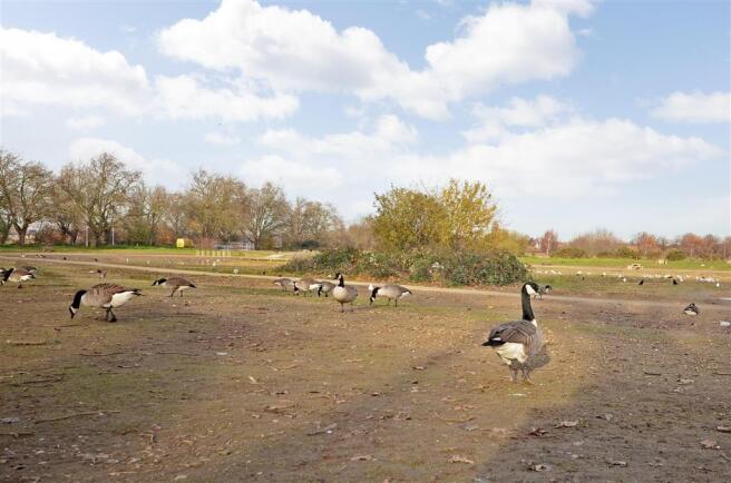 Surrounding Area