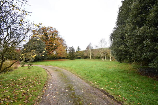 Photo 37