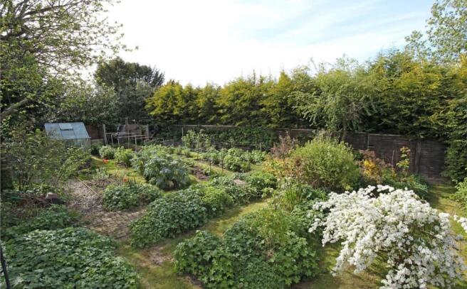 Kitchen Garden