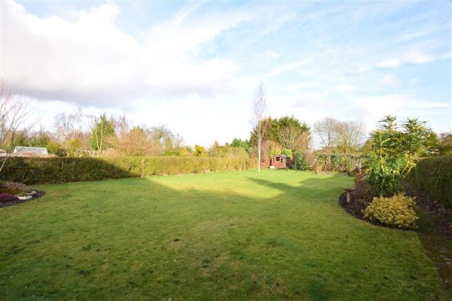 Rear Garden (Original)