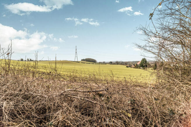 Field Views