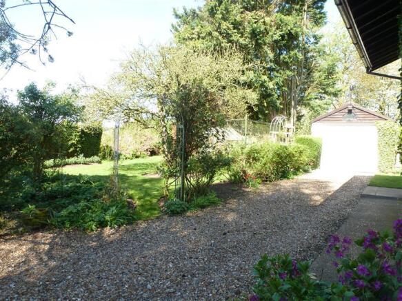Photo 11