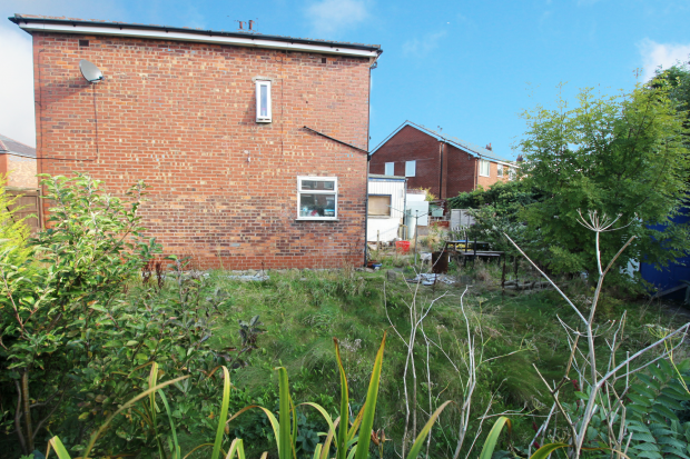 Back Garden 
